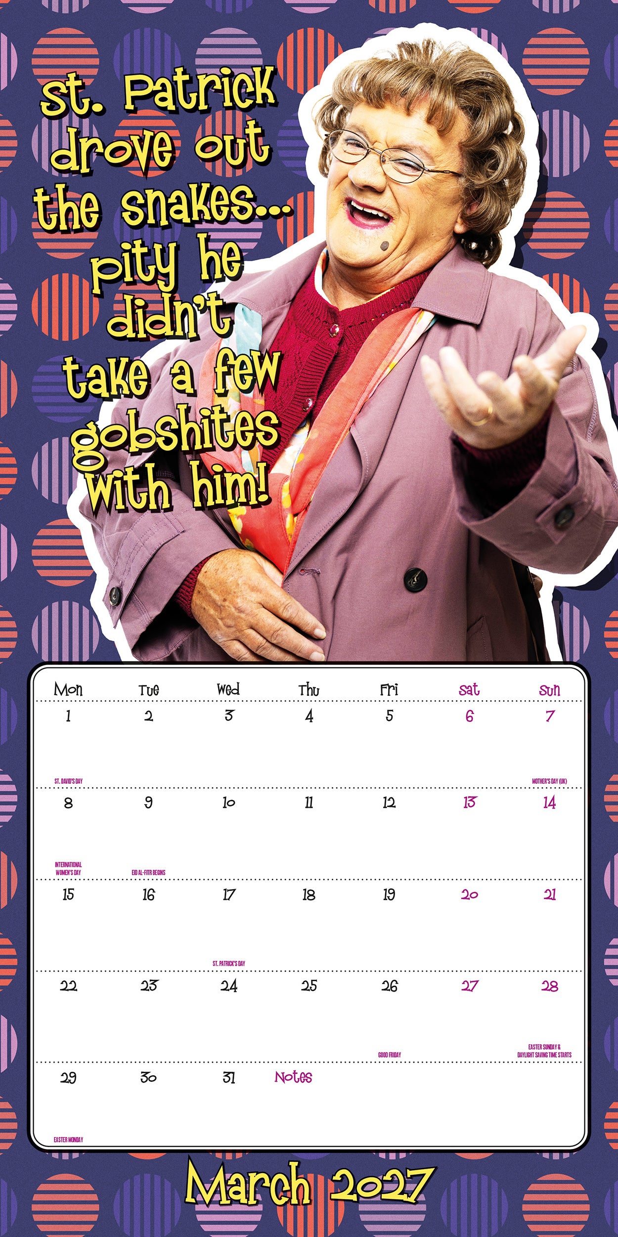 Mrs Browns Boys 2027 Square Calendar