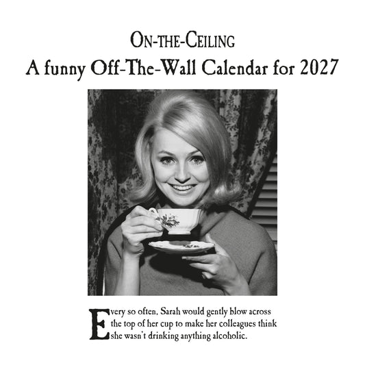 On The Ceiling 2027 Square Calendar