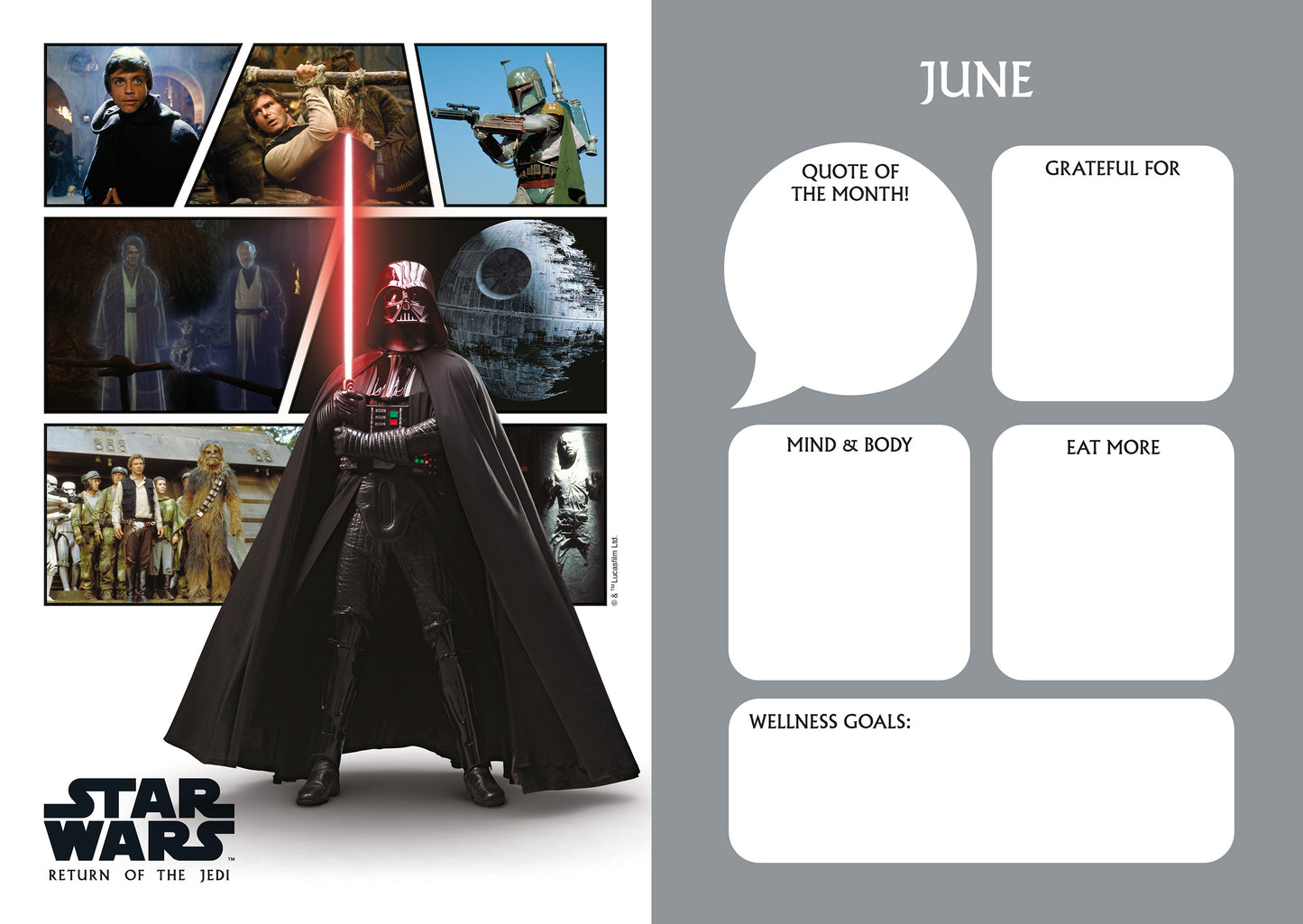 Star Wars 2027 A5 Diary