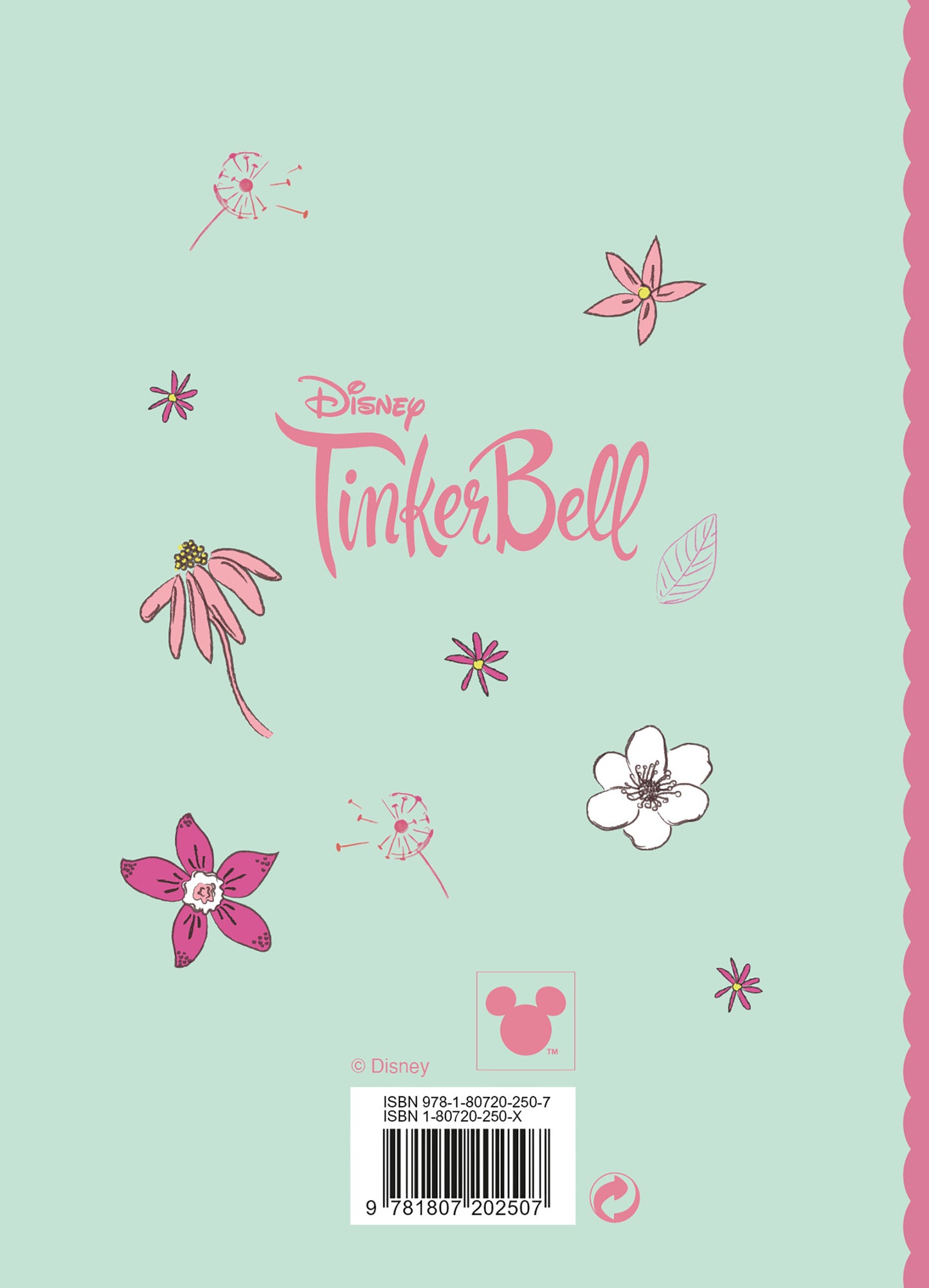 Disney Tinkerbell 2027 A6 Diary