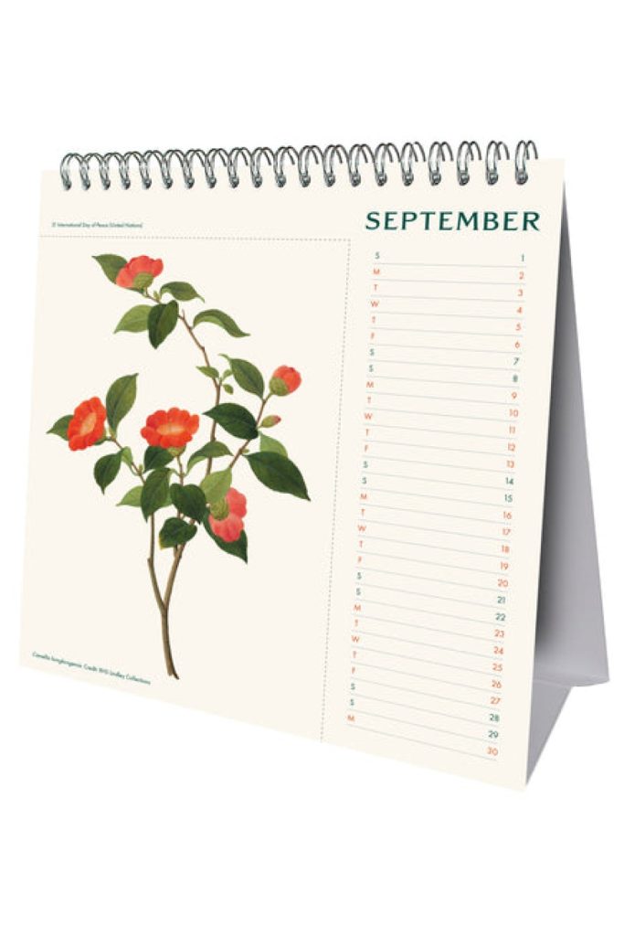 Royal Horticultural Society (RHS) 2024 Desk Calendar - Grange ...