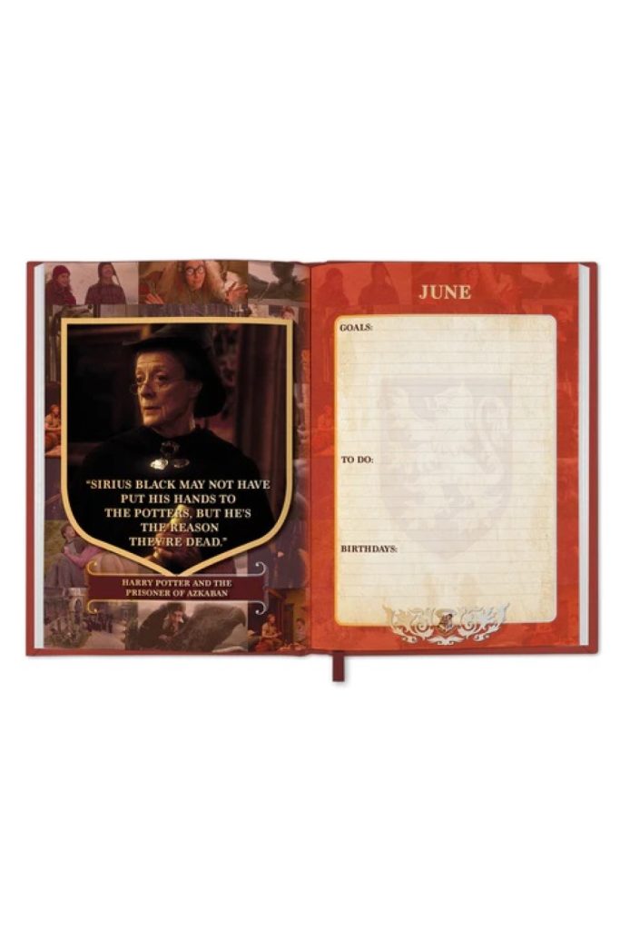 Harry Potter A5 Diary 2024 Grange Communications