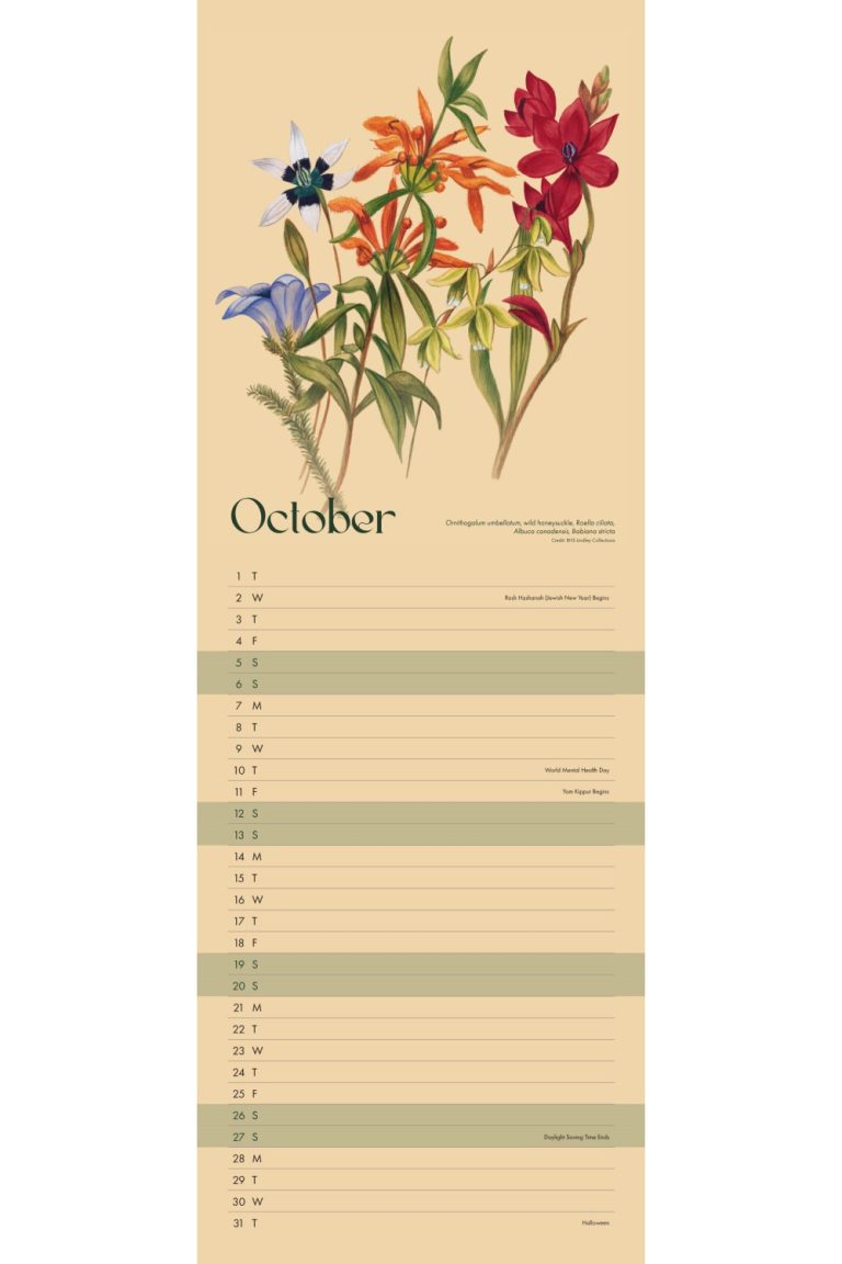 RHS Fruit and Flowers Slim Wall Calendar 2024 Grange Communications